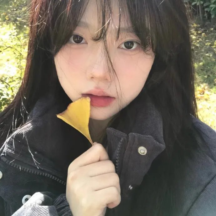 被争论的女人 海报