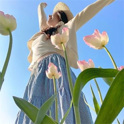女神异闻录4 海报